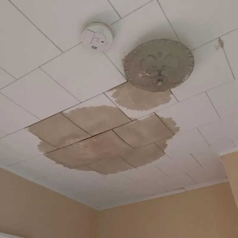 Ceiling Water Damage Repair in Breckenridge, MN