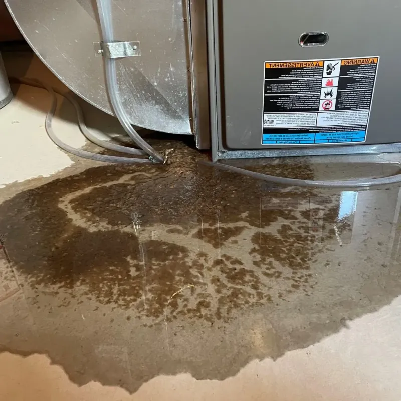 Pipe Burst and Leak Restoration in Breckenridge, MN