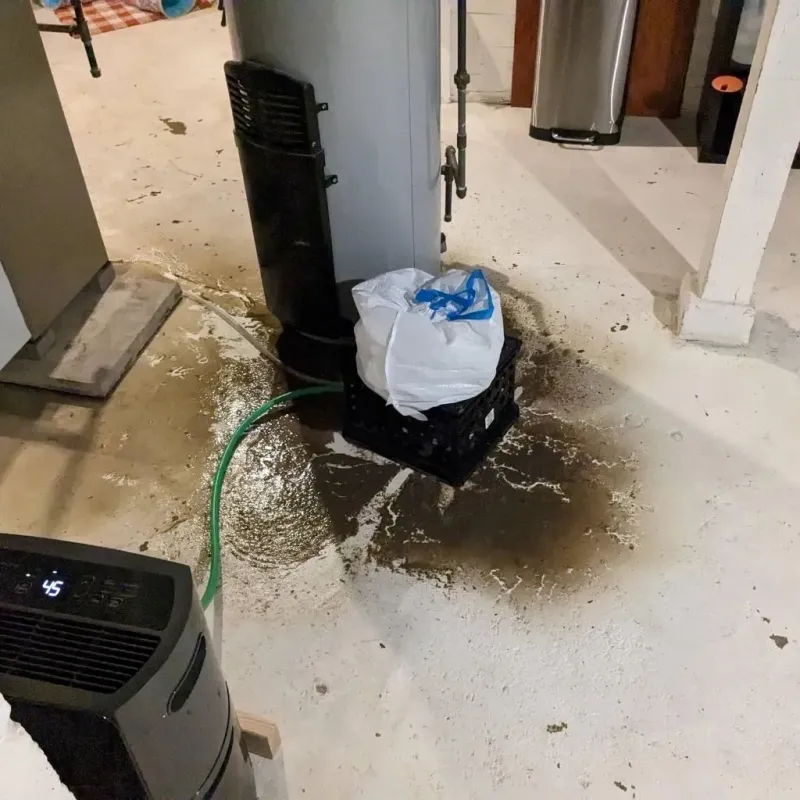 Sewage Backup Cleanup Service in Breckenridge, MN